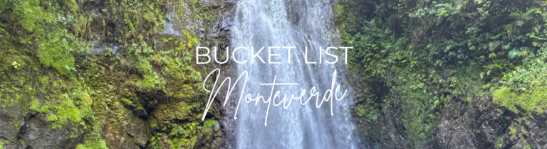 BL-Monteverde.webp