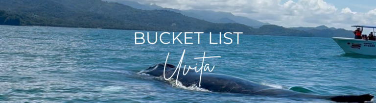 What to do in Uvita Bucket List Uvita